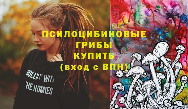 ПСИЛОЦИБИНОВЫЕ ГРИБЫ Алексеевка