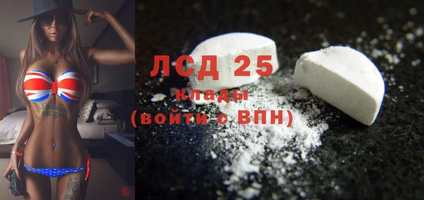 ПСИЛОЦИБИНОВЫЕ ГРИБЫ Алексеевка