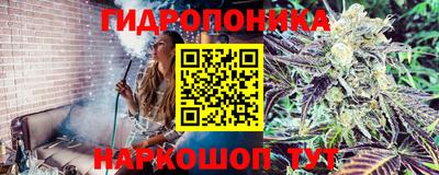 тгк Кинель