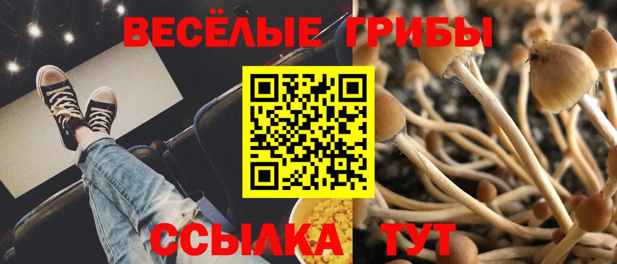 Кулебаки  Галлюциногенные грибы мухоморы  Вход с VPN 
