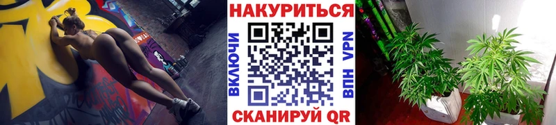 гидра Кулебаки Каннабис гибрид где продают